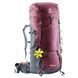 Рюкзак DEUTER Aircontact Lite 60+10 SL maron-graphite 4340218 5423 фото 1