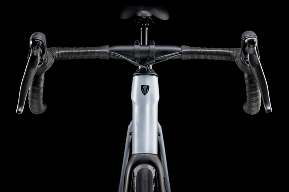 Велосипед 28" Trek DOMANE AL 2 Gen 4 gray фото