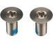 Болти для кріплення каліпера (гальм) SRAM Mounting Hardware Stainless T25 5mm (2шт) Flat Mount