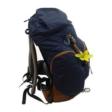 Рюкзак DEUTER Groden 30 SL midnight-lion фото