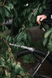 Крило заднє "Ass Savers" Win Wing Gravel 2, Great Offline