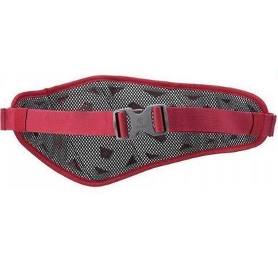 Поясна сумочка DEUTER Pulse 2 cranberry фото