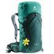 Рюкзак DEUTER Speed Lite 24 SL forest-alpinegreen фото