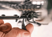 Крило заднє "Ass Savers" Win Wing MTB, Roks