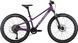 Велосипед 24" Cyclone Dream (2026), purple (mat)