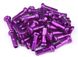 Ніпель FireEye Aluminum 2.0 x 14mm, purple фото