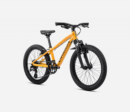 Велосипед 20" Orbea MX 20 XC (2025) mango (gloss) black (matt) фото
