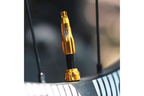 Ніпелі Lezyne CNC TLR 60mm (2 pcs) golden фото