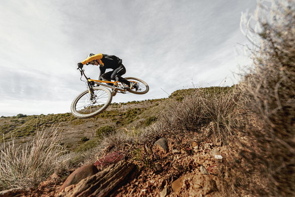 Велосипед 29" MONDRAKER SUPER FOXY CARBON R T-M (2023/2024), Carbon/Desert Grey/Orange фото