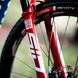 Покришка 29" Vittoria Peyote XC Race 29x2,4 (60-622) TRL 60TPI Foldable Tanwall