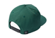 Кепка RaceFace CL Snapback Hat Pine OS