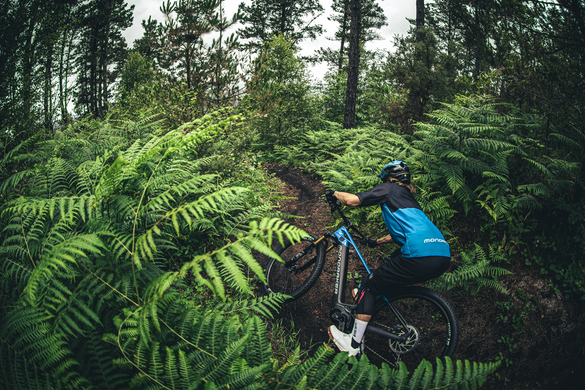 Електровелосипед 29" MONDRAKER CRAFTY Carbon R, M (2024), Grey/Black фото