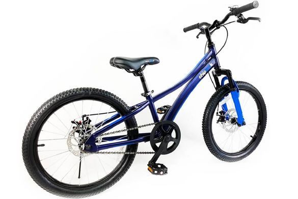 Велосипед 20" RoyalBaby Chipmunk Explorer blue фото