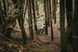 Велосипед 29" Merida Big Trail 600 (2026) gunmetal grey A62611A 00004 фото 3
