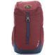 Рюкзак DEUTER Walker 16 maron-midnight 3810517 5323 фото 2
